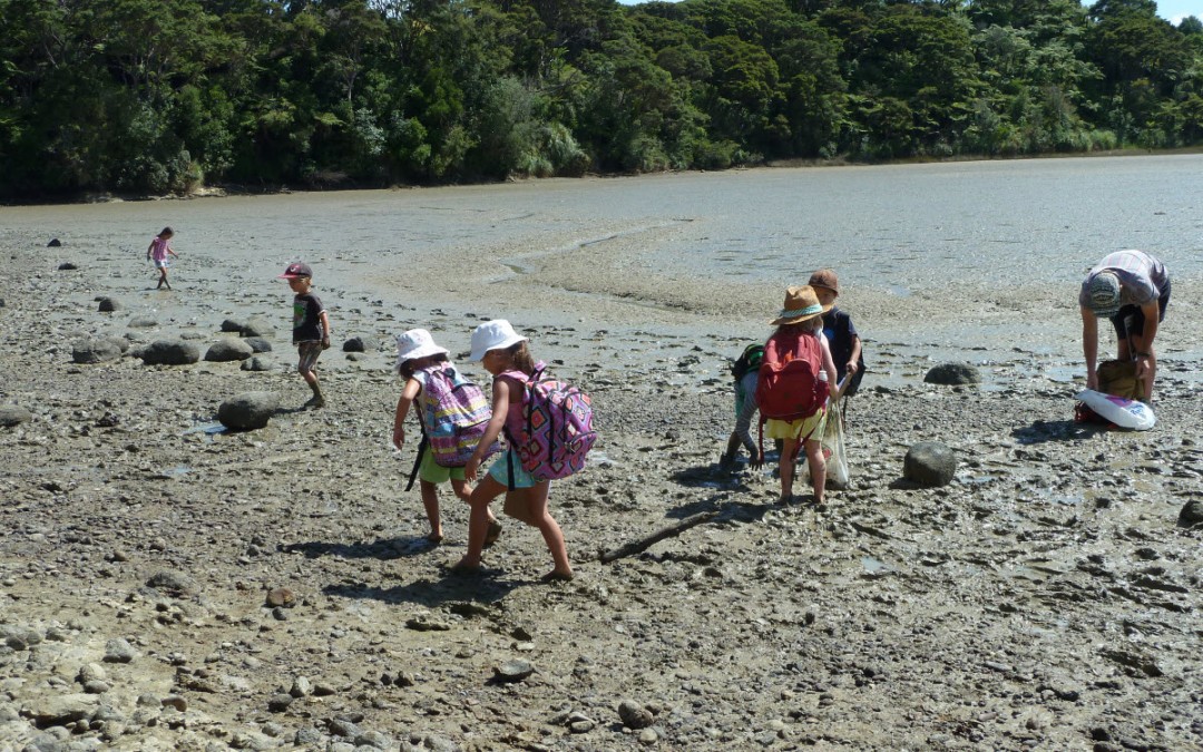 Year 0-2 Beach Picnic