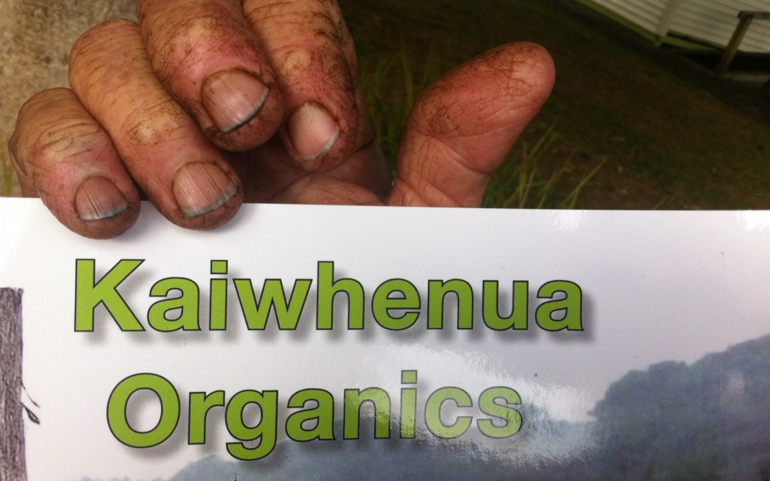 Kaiwhenua goodness is now in print!