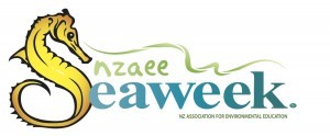 NZAEE-Seaweek-logo-TM-300x124