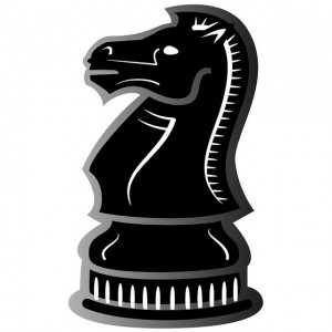 Stallions Chess Academy