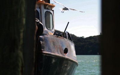 Fishing Club Event