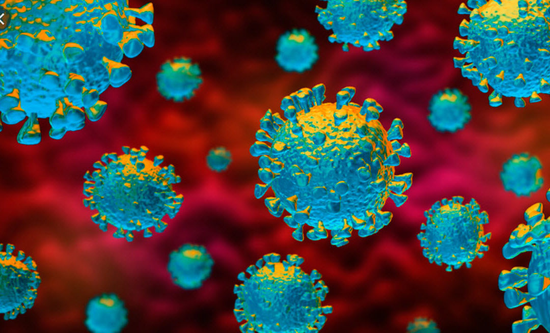 COVID-19 (novel coronavirus) Update – March 2020