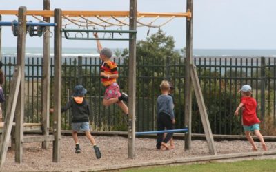 Why introduce school uniforms at Raglan Area School?