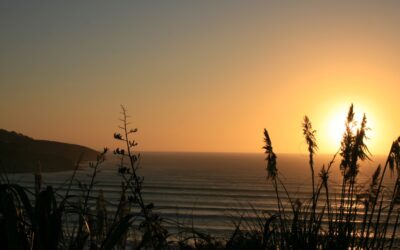 Tumuaki/Principal Newsletter Thursday 3 June 2021