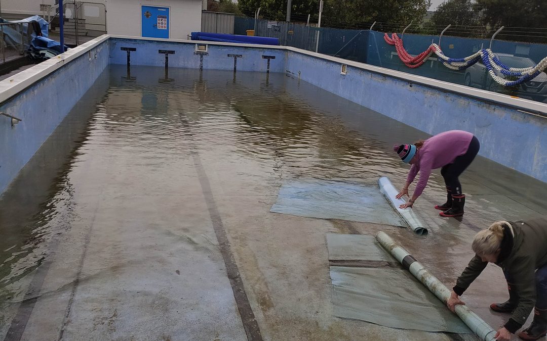 Swimming Pool Update